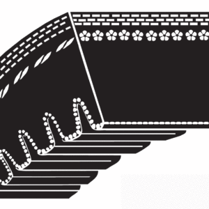 Bestorq AX Cogged Belt